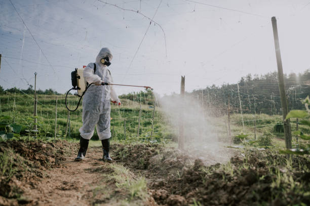Best Pest Removal Services  in Lexington, VA