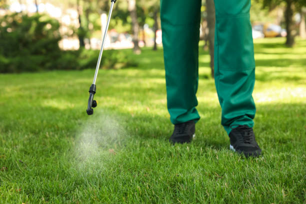 Pest Control for Restaurants in Lexington, VA