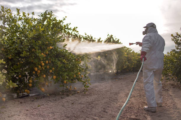 Reliable Lexington, VA Pest Control Solutions